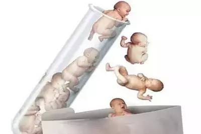 供卵成功率
